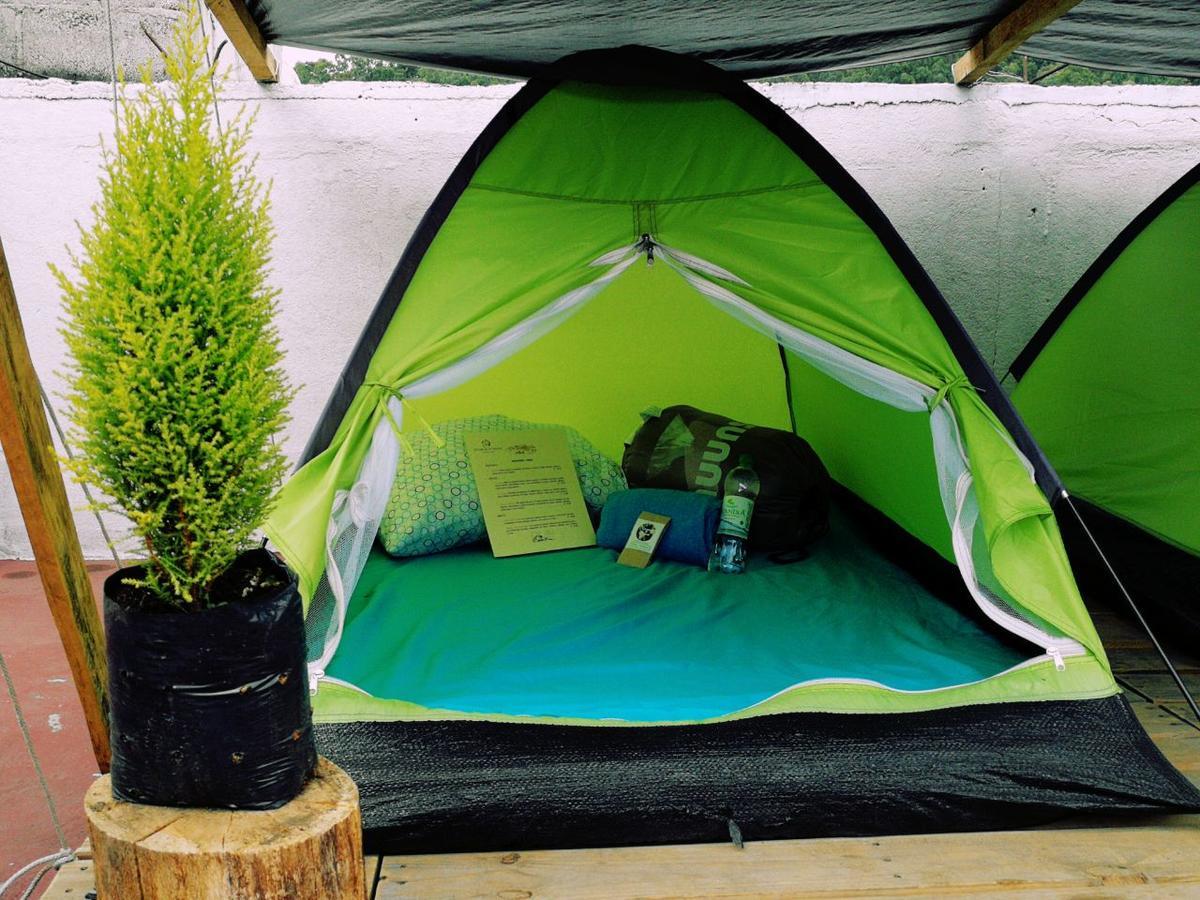 Camping & Travel Antigua Dış mekan fotoğraf