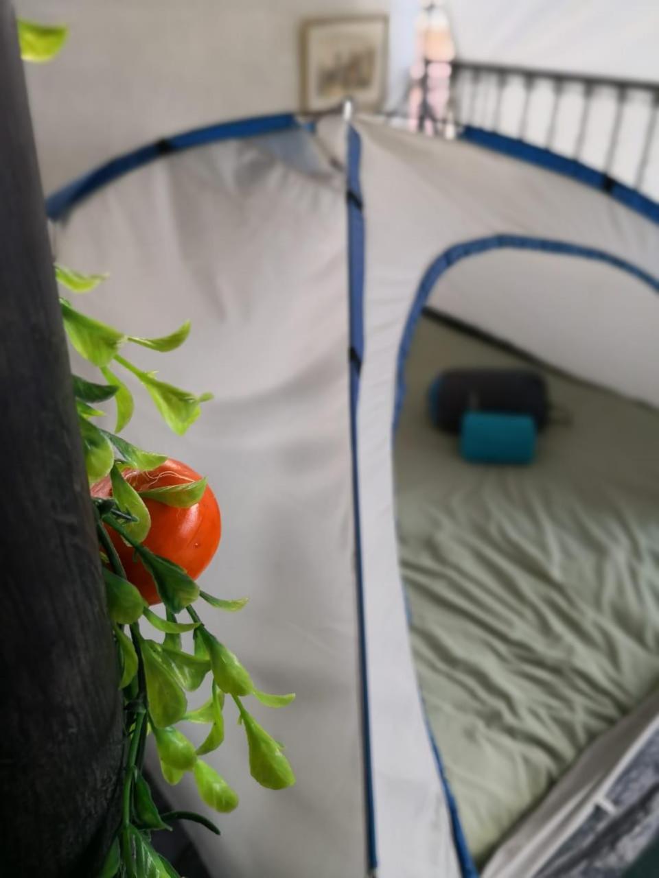 Camping & Travel Antigua Dış mekan fotoğraf