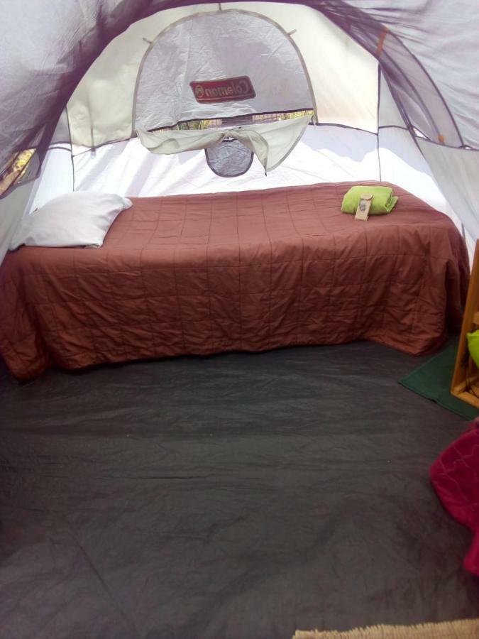 Camping & Travel Antigua Dış mekan fotoğraf